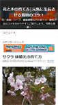 Mobile Screenshot of flower777.info